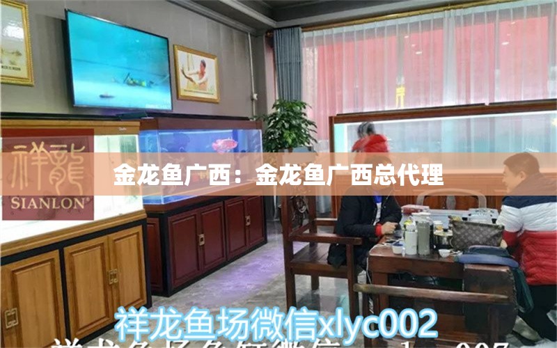 金龍魚廣西：金龍魚廣西總代理 觀賞魚市場（混養(yǎng)魚）