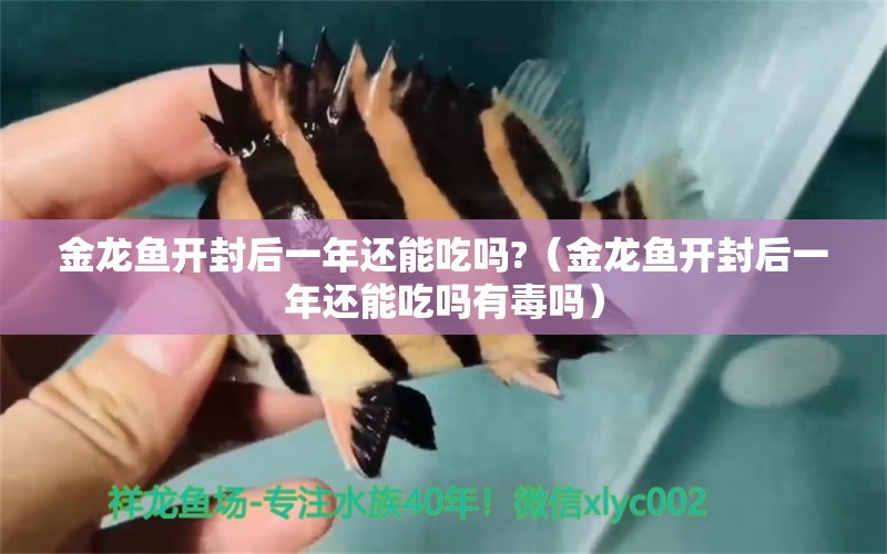 金龍魚開封后一年還能吃嗎?（金龍魚開封后一年還能吃嗎有毒嗎）