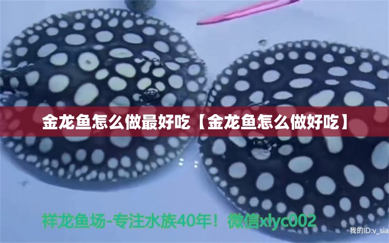 金龍魚怎么做最好吃【金龍魚怎么做好吃】 龍魚批發(fā)