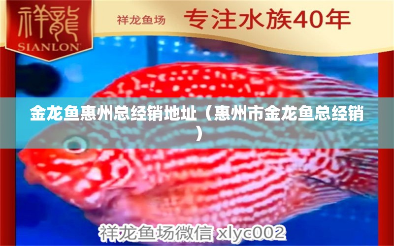 金龍魚惠州總經(jīng)銷地址（惠州市金龍魚總經(jīng)銷） 豹紋夫魚苗 第1張