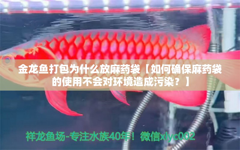 金龍魚打包為什么放麻藥袋【如何確保麻藥袋的使用不會對環(huán)境造成污染？】 水族問答 第1張