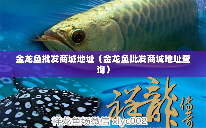 金龍魚批發(fā)商城地址（金龍魚批發(fā)商城地址查詢） 龍魚批發(fā)