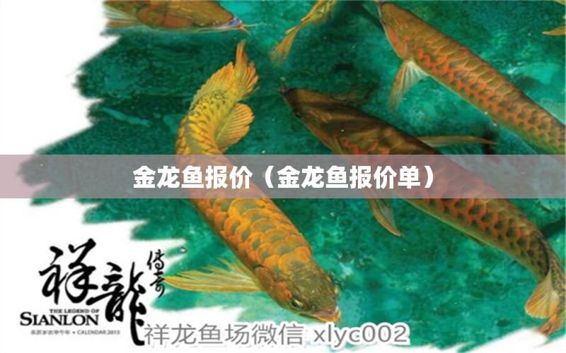 金龍魚報(bào)價(jià)（金龍魚報(bào)價(jià)單） 祥龍水族醫(yī)院