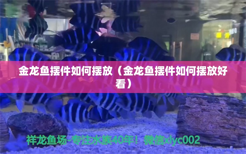 金龍魚擺件如何擺放（金龍魚擺件如何擺放好看）