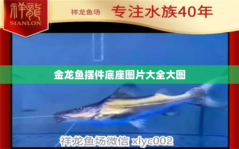 金龍魚擺件底座圖片大全大圖