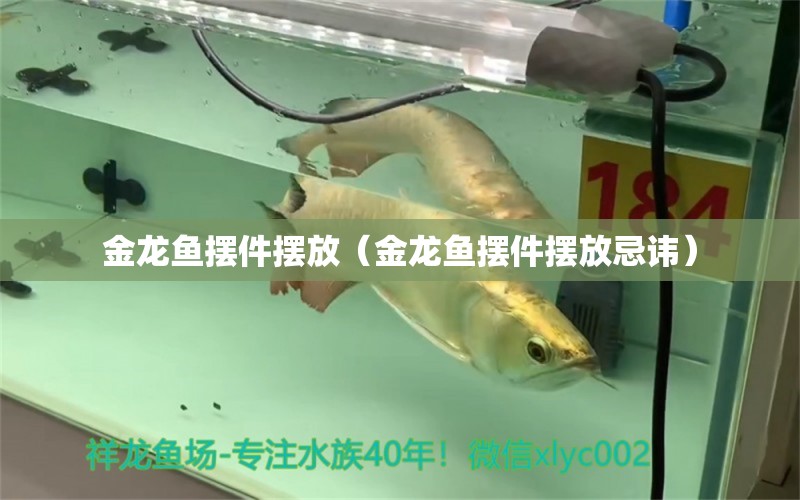 金龍魚擺件擺放（金龍魚擺件擺放忌諱） 祥龍水族醫(yī)院