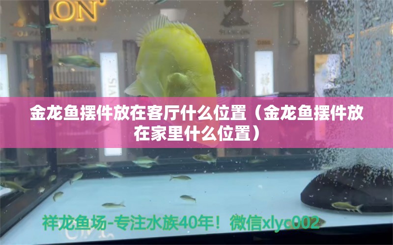 金龍魚擺件放在客廳什么位置（金龍魚擺件放在家里什么位置）