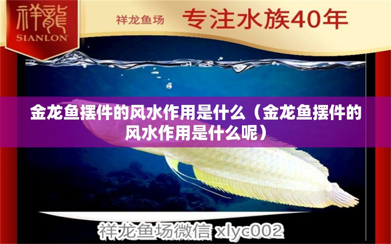 金龍魚(yú)擺件的風(fēng)水作用是什么（金龍魚(yú)擺件的風(fēng)水作用是什么呢）