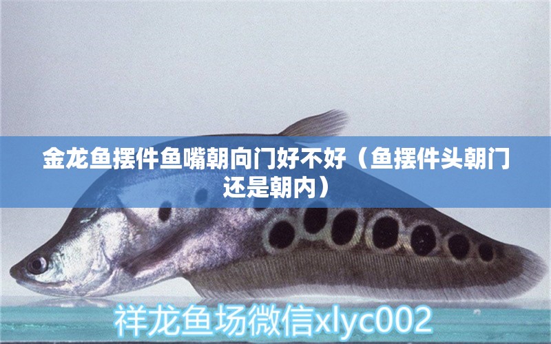 金龍魚擺件魚嘴朝向門好不好（魚擺件頭朝門還是朝內(nèi)）