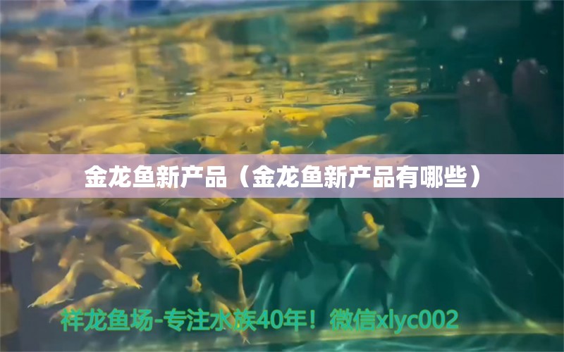 金龍魚新產(chǎn)品（金龍魚新產(chǎn)品有哪些） 鸚鵡魚 第1張