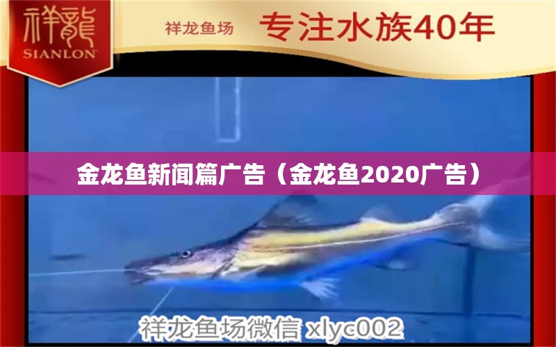 金龍魚新聞篇廣告（金龍魚2020廣告）