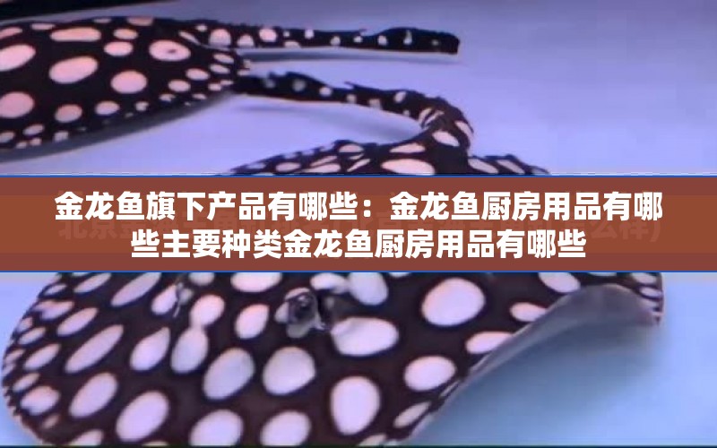 金龍魚旗下產(chǎn)品有哪些：金龍魚廚房用品有哪些主要種類金龍魚廚房用品有哪些 水族問答 第2張