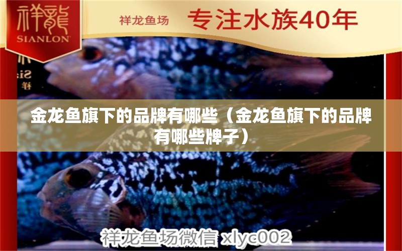 金龍魚旗下的品牌有哪些（金龍魚旗下的品牌有哪些牌子） 祥龍水族醫(yī)院