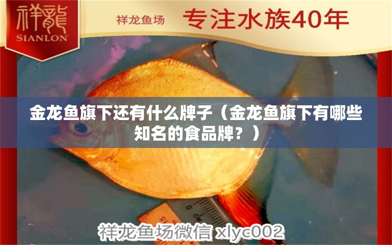 金龍魚旗下還有什么牌子（金龍魚旗下有哪些知名的食品牌？） 水族問答 第2張