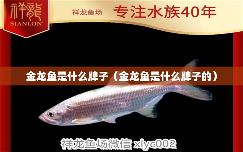 金龍魚是什么牌子（金龍魚是什么牌子的）