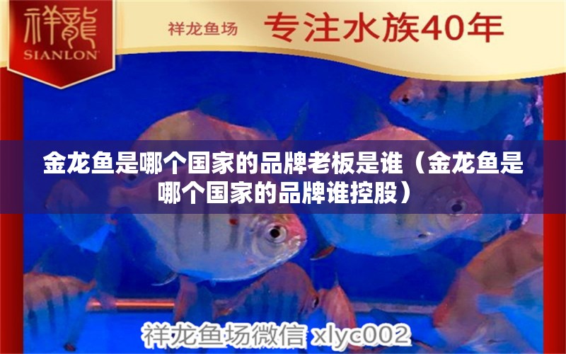 金龍魚是哪個國家的品牌老板是誰（金龍魚是哪個國家的品牌誰控股） 龍魚百科