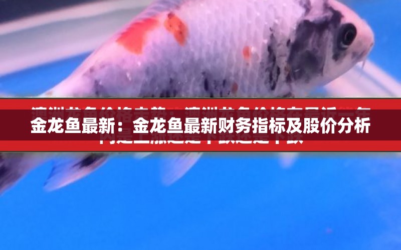 金龍魚最新：金龍魚最新財務指標及股價分析 水族問答