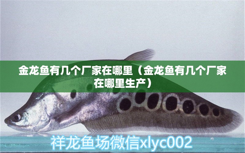 金龍魚有幾個(gè)廠家在哪里（金龍魚有幾個(gè)廠家在哪里生產(chǎn)） 觀賞魚市場(chǎng)（混養(yǎng)魚）