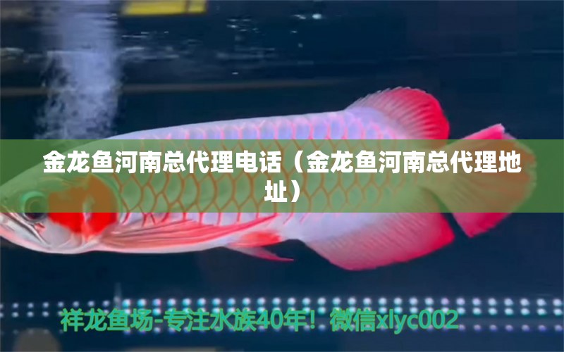 金龍魚河南總代理電話（金龍魚河南總代理地址）