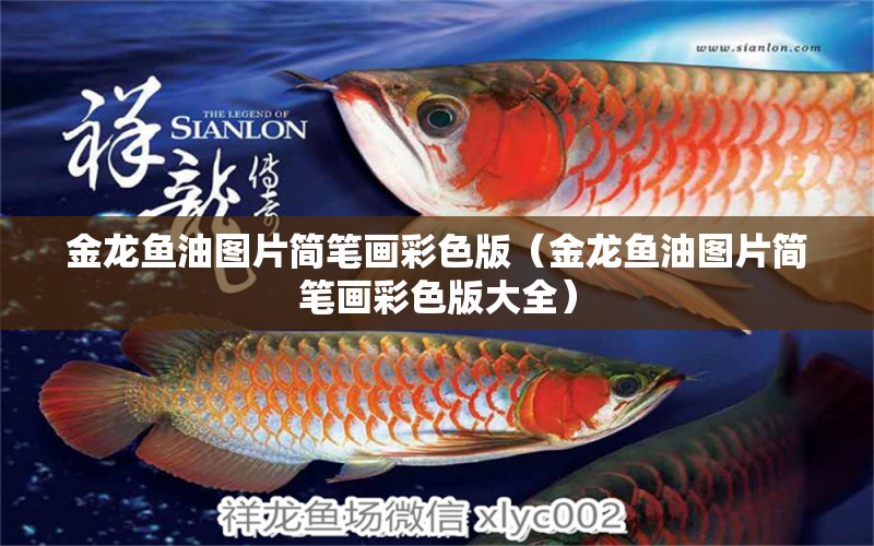 金龍魚油圖片簡筆畫彩色版（金龍魚油圖片簡筆畫彩色版大全）