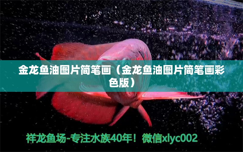 金龍魚油圖片簡筆畫（金龍魚油圖片簡筆畫彩色版）