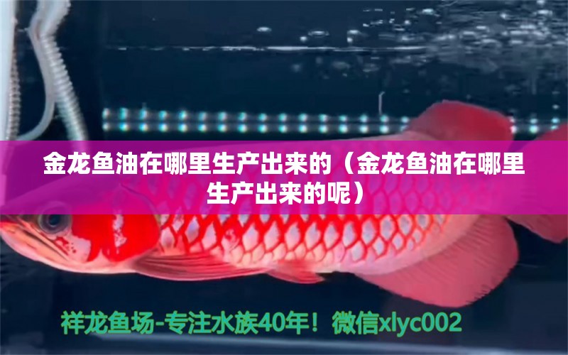 金龍魚油在哪里生產出來的（金龍魚油在哪里生產出來的呢）