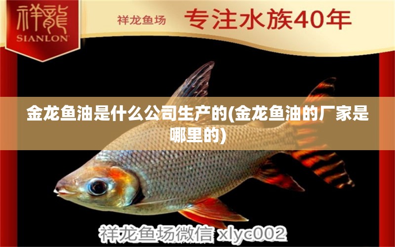 金龍魚油是什么公司生產(chǎn)的(金龍魚油的廠家是哪里的) 黃吉金龍（白子金龍魚）