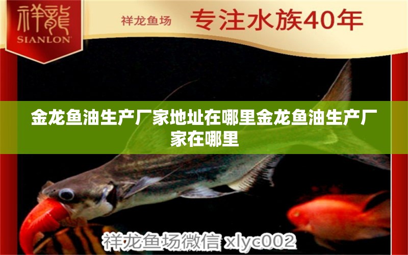 金龍魚油生產(chǎn)廠家地址在哪里金龍魚油生產(chǎn)廠家在哪里 文玩