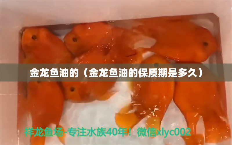 金龍魚油的（金龍魚油的保質(zhì)期是多久）