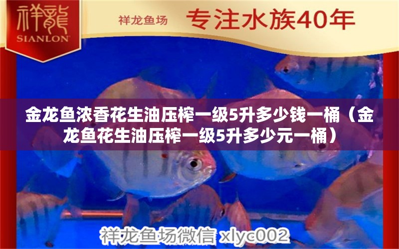 金龍魚濃香花生油壓榨一級5升多少錢一桶（金龍魚花生油壓榨一級5升多少元一桶）