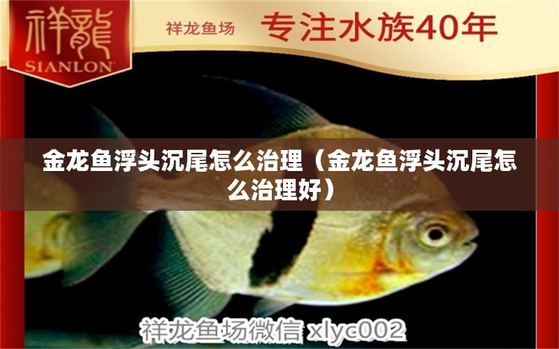 金龍魚浮頭沉尾怎么治理（金龍魚浮頭沉尾怎么治理好） 黃金河虎魚