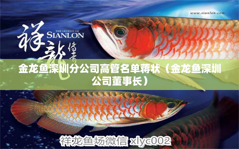 金龍魚(yú)深圳分公司高管名單蔣狀（金龍魚(yú)深圳公司董事長(zhǎng)）