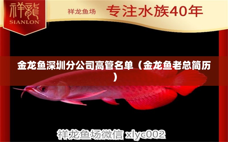 金龍魚深圳分公司高管名單（金龍魚老總簡(jiǎn)歷）