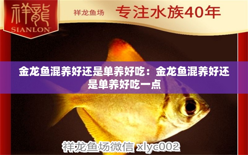 金龍魚混養(yǎng)好還是單養(yǎng)好吃：金龍魚混養(yǎng)好還是單養(yǎng)好吃一點(diǎn)