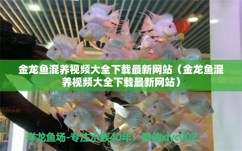 金龍魚混養(yǎng)視頻大全下載最新網(wǎng)站（金龍魚混養(yǎng)視頻大全下載最新網(wǎng)站）