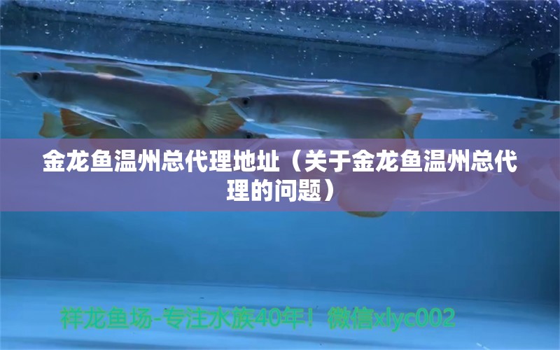 金龍魚溫州總代理地址（關(guān)于金龍魚溫州總代理的問題） 水族問答 第1張