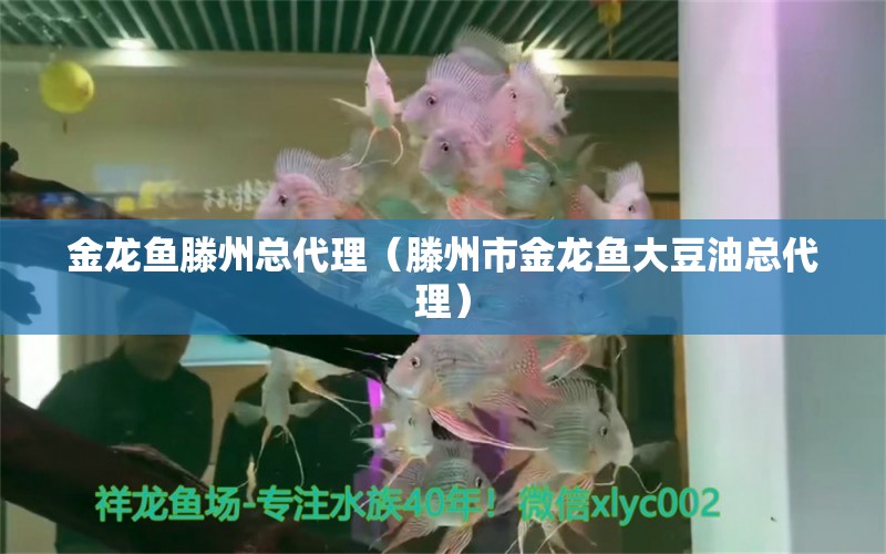 金龍魚滕州總代理（滕州市金龍魚大豆油總代理）