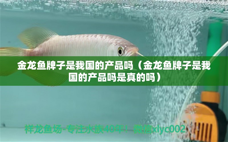 金龍魚牌子是我國(guó)的產(chǎn)品嗎（金龍魚牌子是我國(guó)的產(chǎn)品嗎是真的嗎）