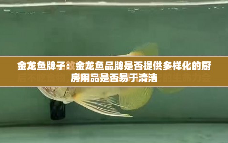 金龍魚牌子：金龍魚品牌是否提供多樣化的廚房用品是否易于清潔 水族問答 第1張