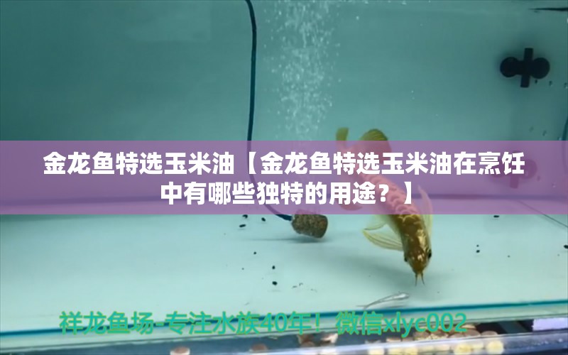 金龍魚特選玉米油【金龍魚特選玉米油在烹飪中有哪些獨特的用途？】 水族問答 第1張