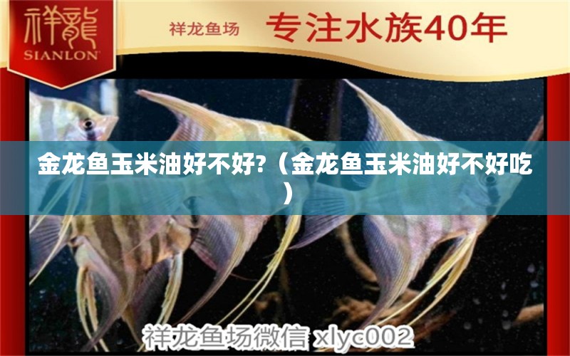 金龍魚玉米油好不好?（金龍魚玉米油好不好吃）