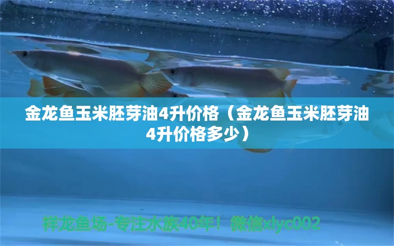 金龍魚玉米胚芽油4升價(jià)格（金龍魚玉米胚芽油4升價(jià)格多少） 祥龍水族醫(yī)院