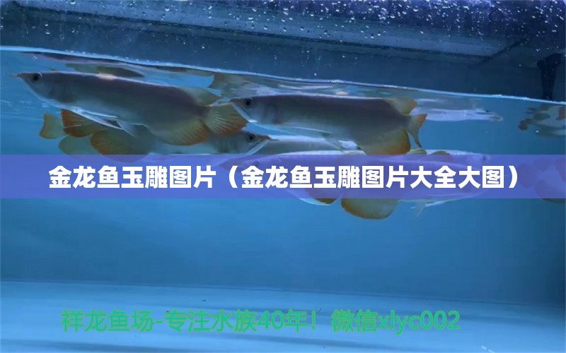 金龍魚玉雕圖片（金龍魚玉雕圖片大全大圖）