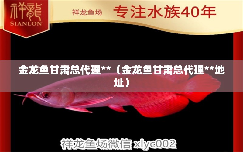 金龍魚(yú)甘肅總代理**（金龍魚(yú)甘肅總代理**地址） 紅頭利魚(yú)