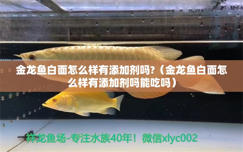 金龍魚白面怎么樣有添加劑嗎?（金龍魚白面怎么樣有添加劑嗎能吃嗎）