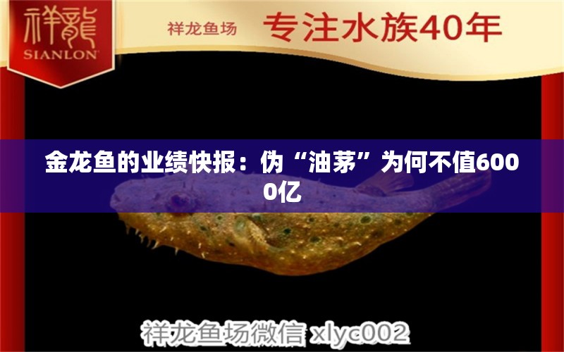 金龍魚的業(yè)績快報：偽“油茅”為何不值6000億 印尼虎苗