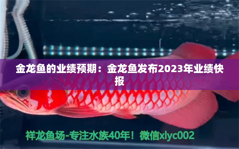 金龍魚的業(yè)績預(yù)期：金龍魚發(fā)布2023年業(yè)績快報