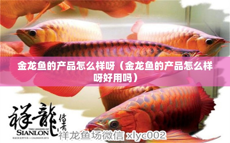 金龍魚的產(chǎn)品怎么樣呀（金龍魚的產(chǎn)品怎么樣呀好用嗎） 魚缸百科