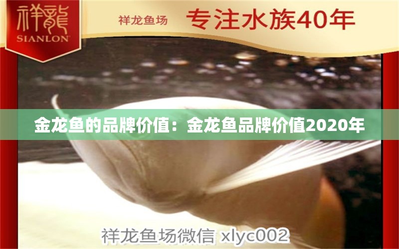 金龍魚的品牌價(jià)值：金龍魚品牌價(jià)值2020年