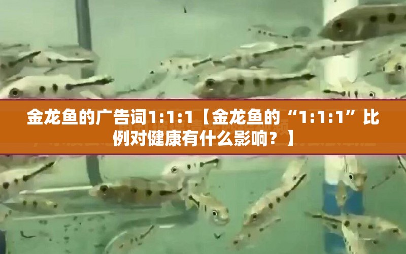 金龍魚的廣告詞1:1:1【金龍魚的“1:1:1”比例對健康有什么影響？】 水族問答 第1張